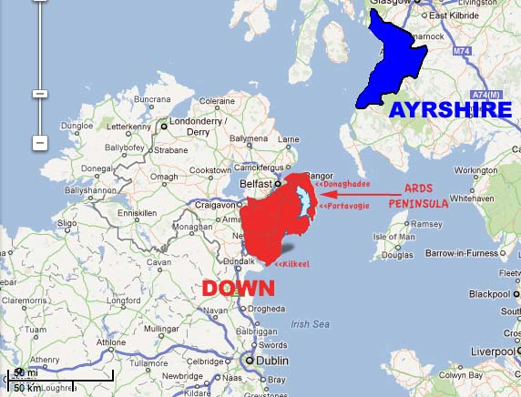 P1e1 County Down In The Overall Irish Coffey Population Map